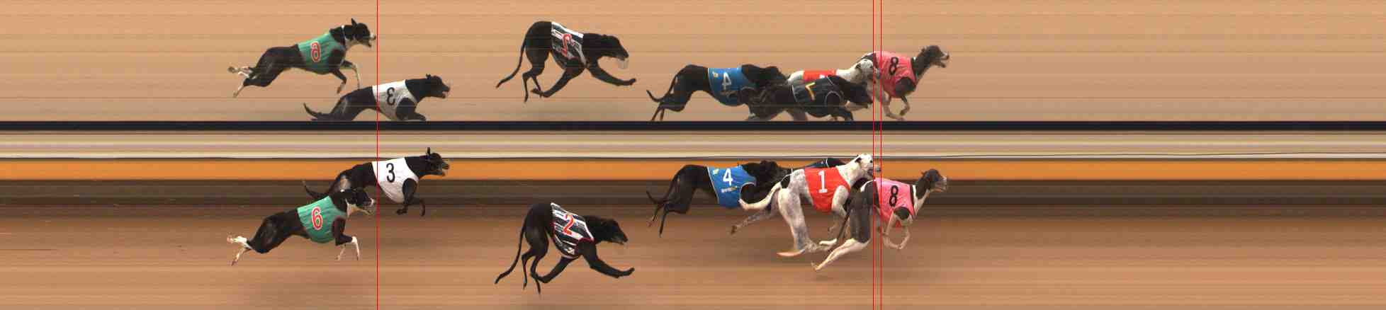 Photo finish for Warrnambool Race 7