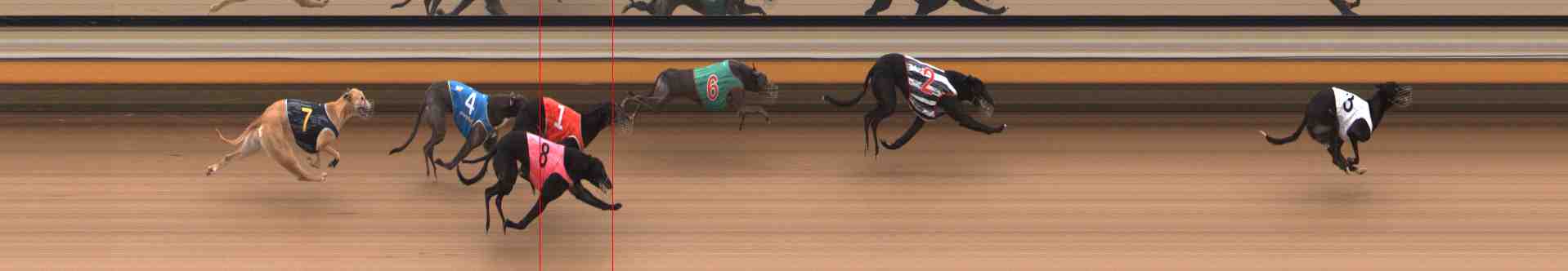 Photo finish for Warrnambool Race 8