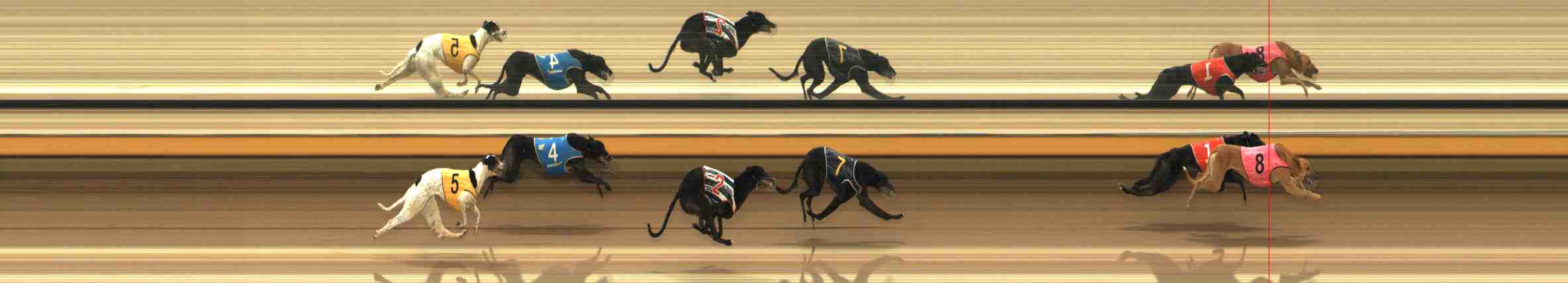 Photo finish for Warrnambool Race 9