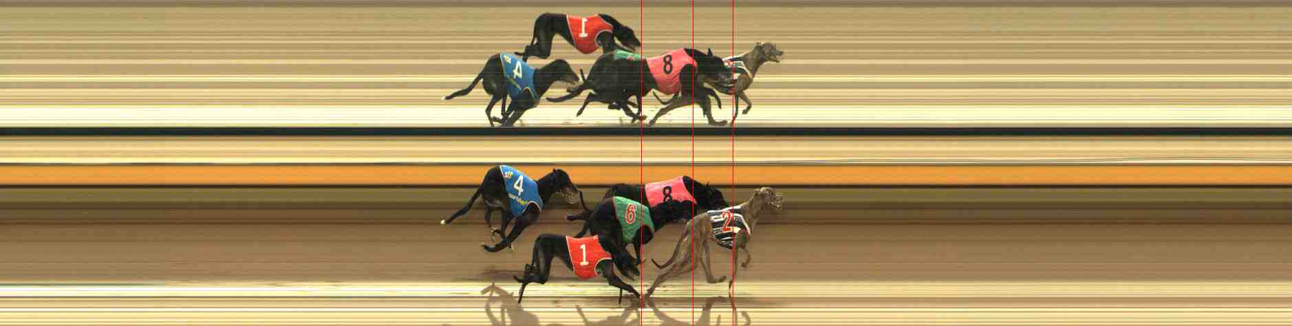 Photo finish for Warrnambool Race 10