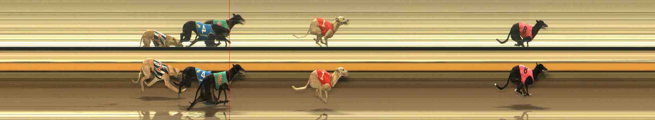 Photo finish for Warrnambool Race 11