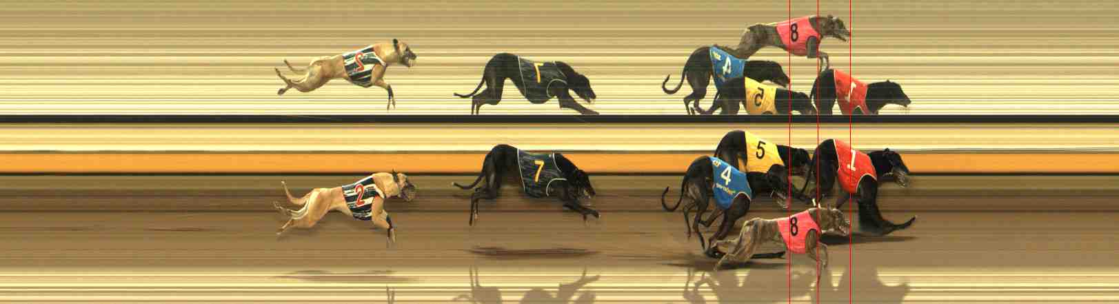 Photo finish for Warrnambool Race 12