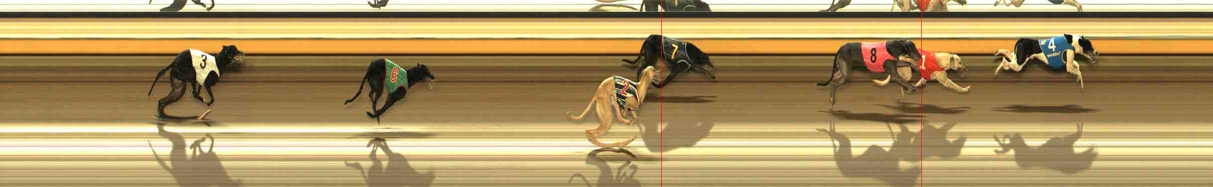 Photo finish for Warrnambool Race 13