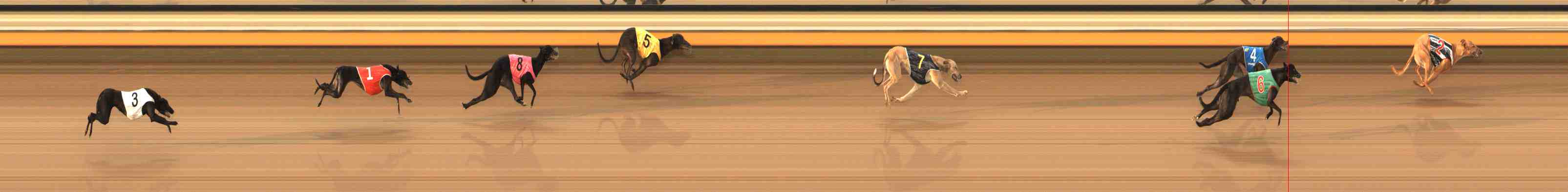 Photo finish for Warrnambool Race 1
