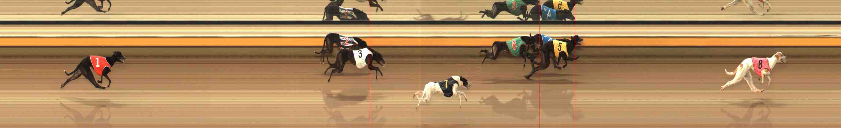 Photo finish for Warrnambool Race 2