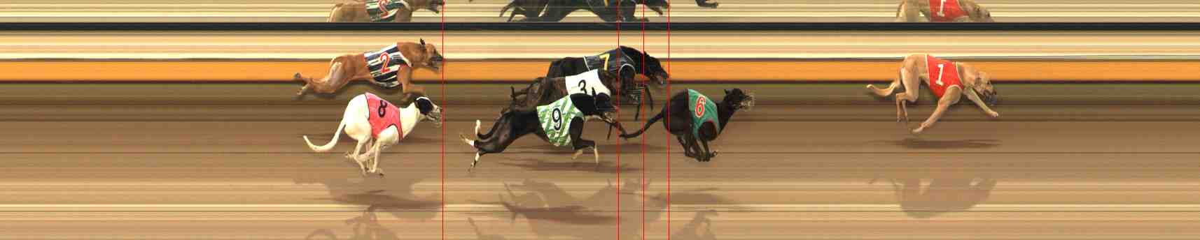 Photo finish for Warrnambool Race 3