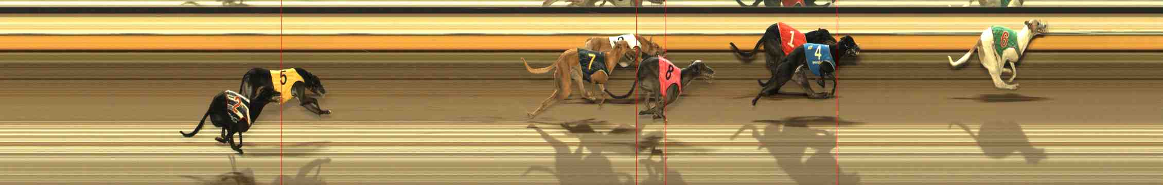 Photo finish for Warrnambool Race 5