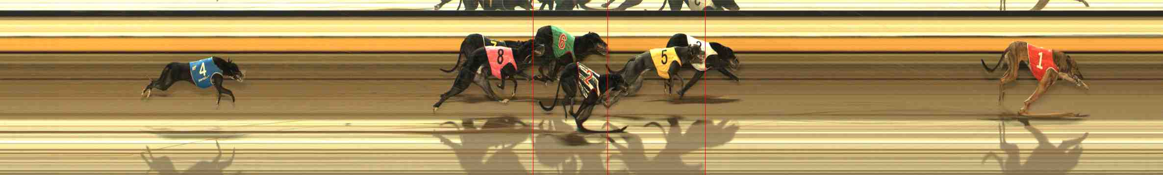 Photo finish for Warrnambool Race 6