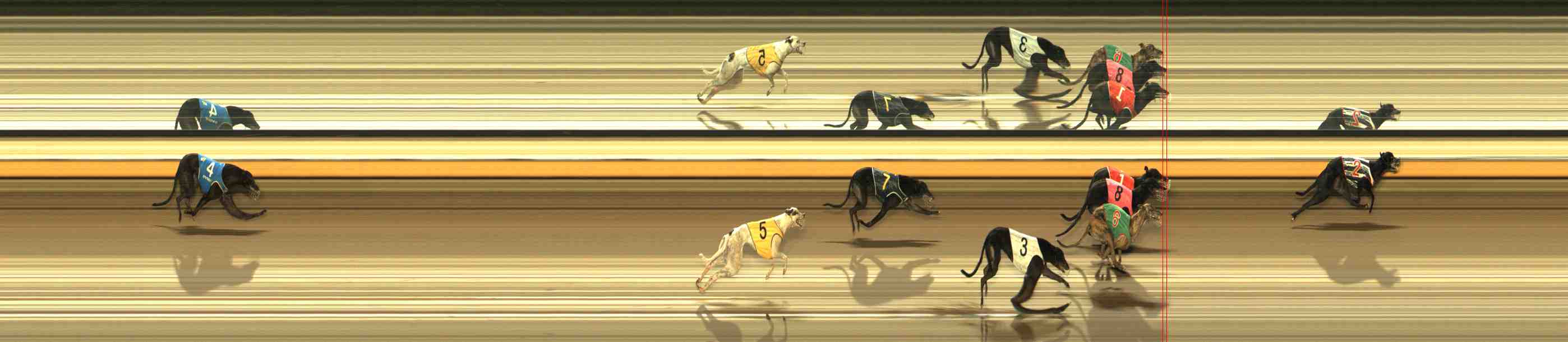 Photo finish for Warrnambool Race 7