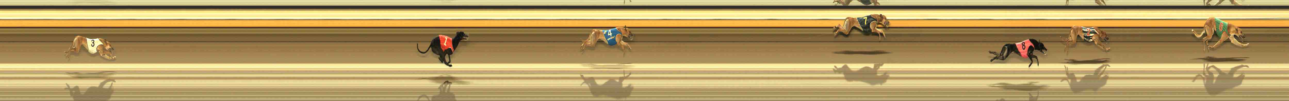 Photo finish for Warrnambool Race 8