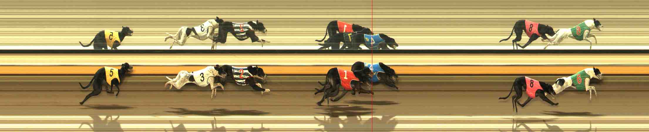 Photo finish for Warrnambool Race 9