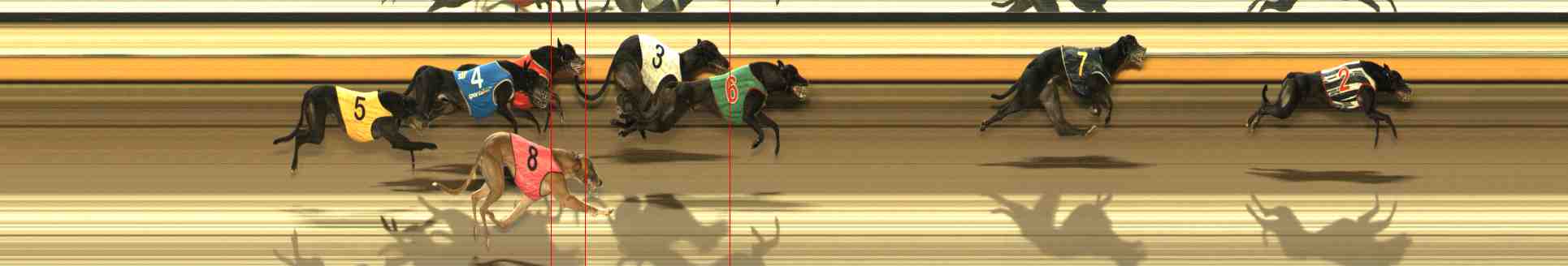 Photo finish for Warrnambool Race 10