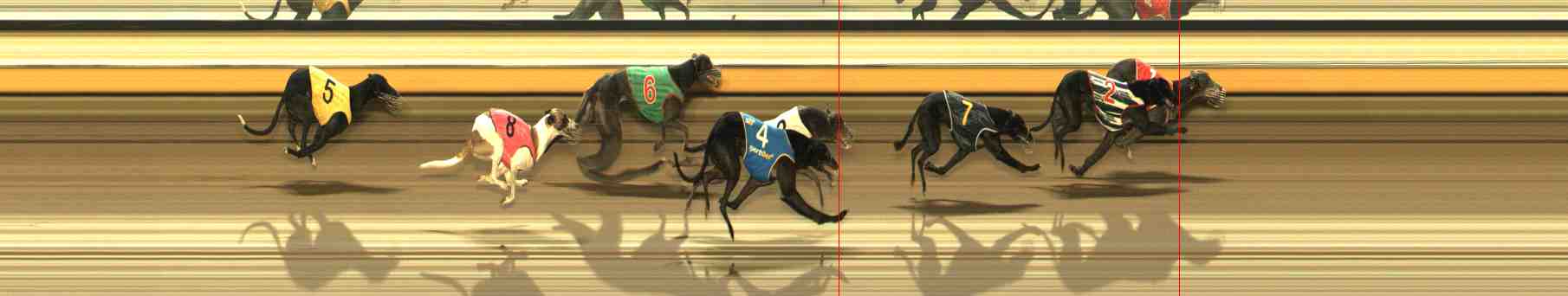 Photo finish for Warrnambool Race 11
