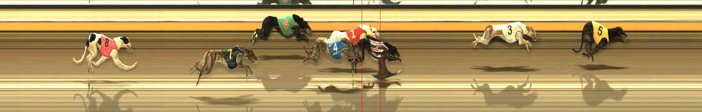 Photo finish for Warrnambool Race 12