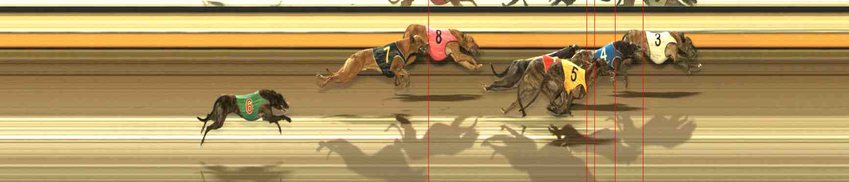 Photo finish for Warrnambool Race 13