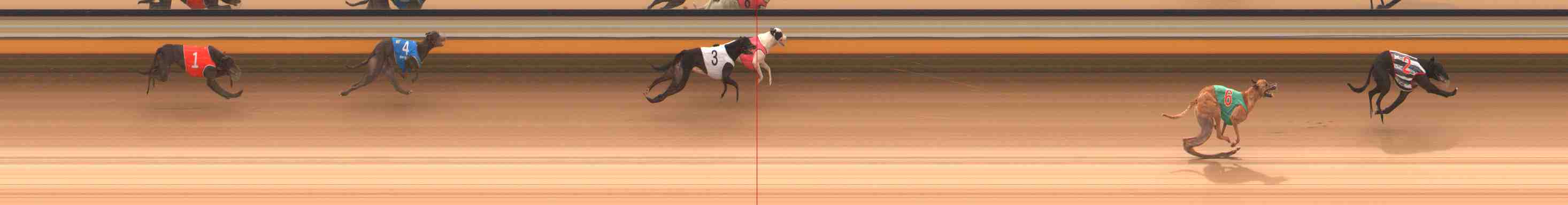 Photo finish for Warrnambool Race 1
