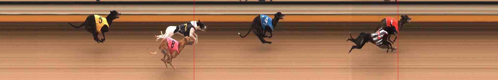 Photo finish for Warrnambool Race 2