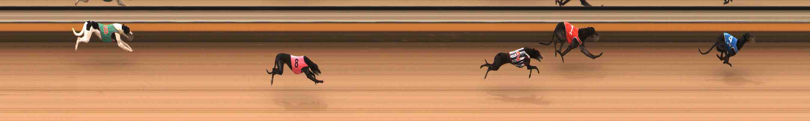 Photo finish for Warrnambool Race 3