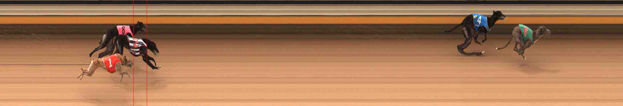 Photo finish for Warrnambool Race 4