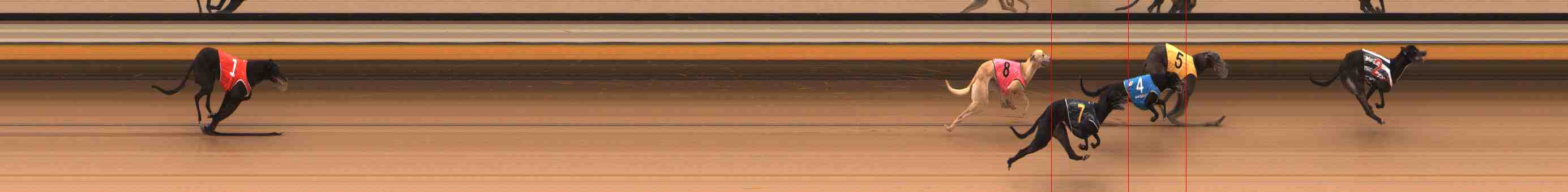 Photo finish for Warrnambool Race 5