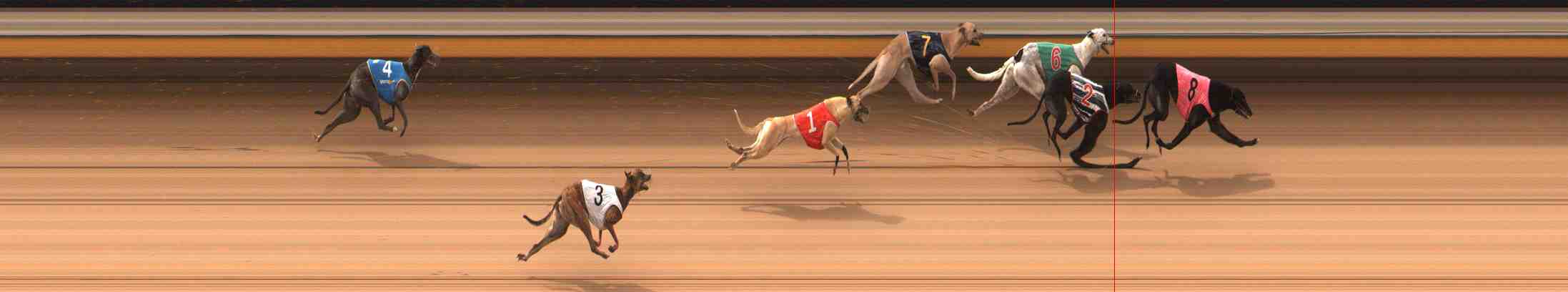 Photo finish for Warrnambool Race 6