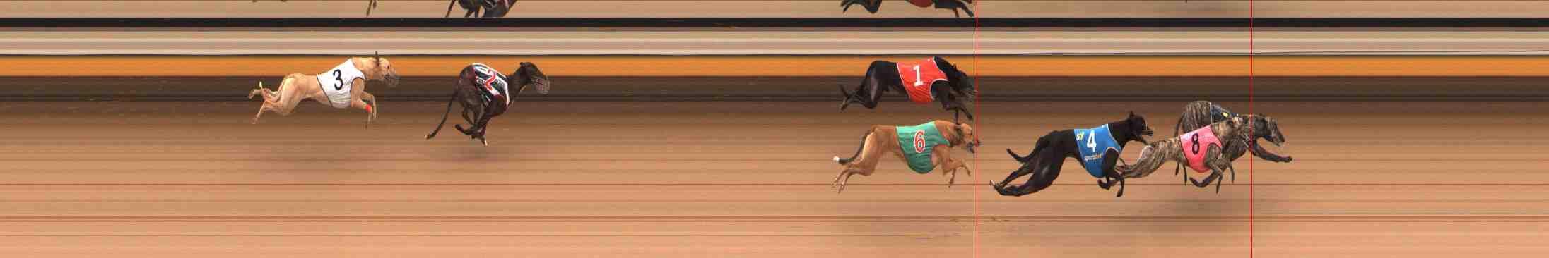 Photo finish for Warrnambool Race 7