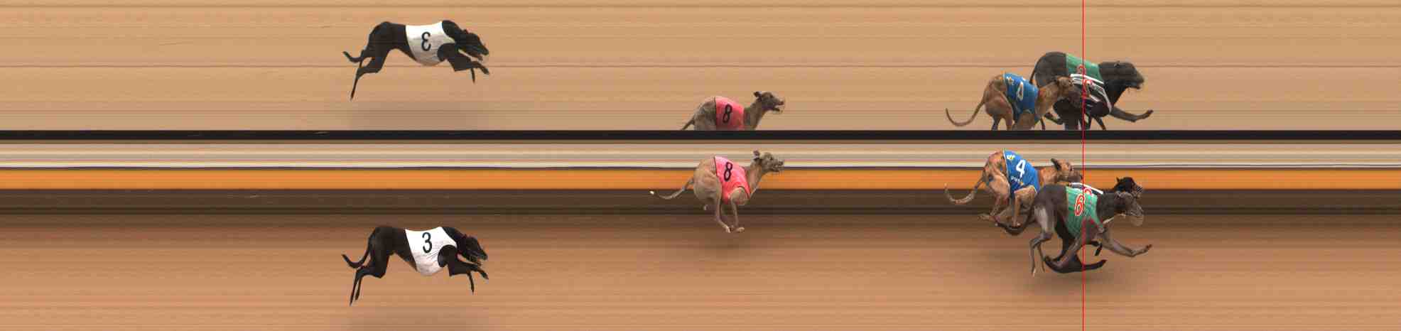 Photo finish for Warrnambool Race 8