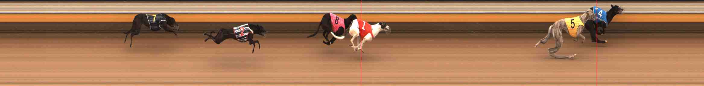 Photo finish for Warrnambool Race 9
