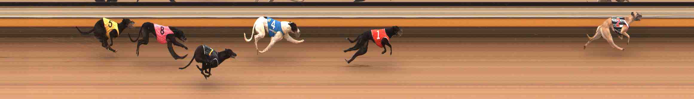 Photo finish for Warrnambool Race 11