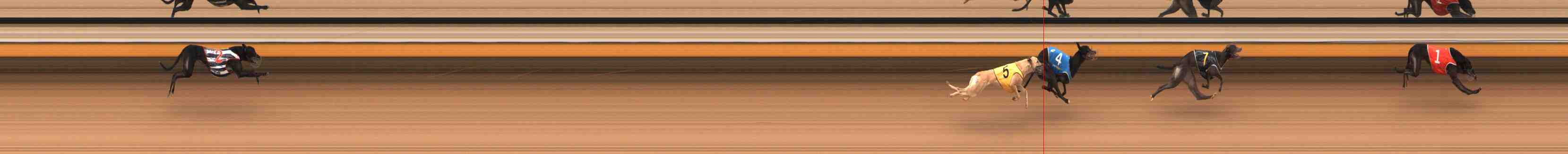 Photo finish for Warrnambool Race 12