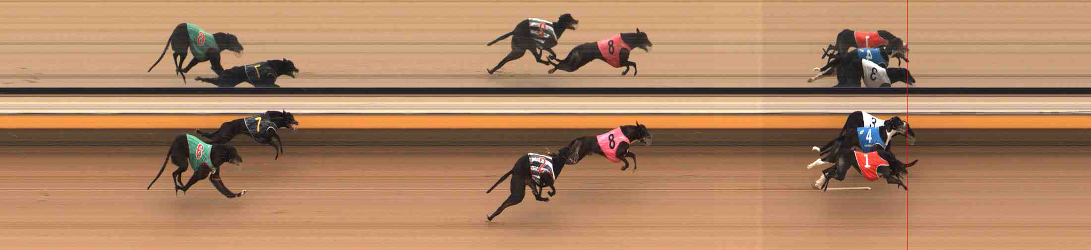 Photo finish for Warrnambool Race 13