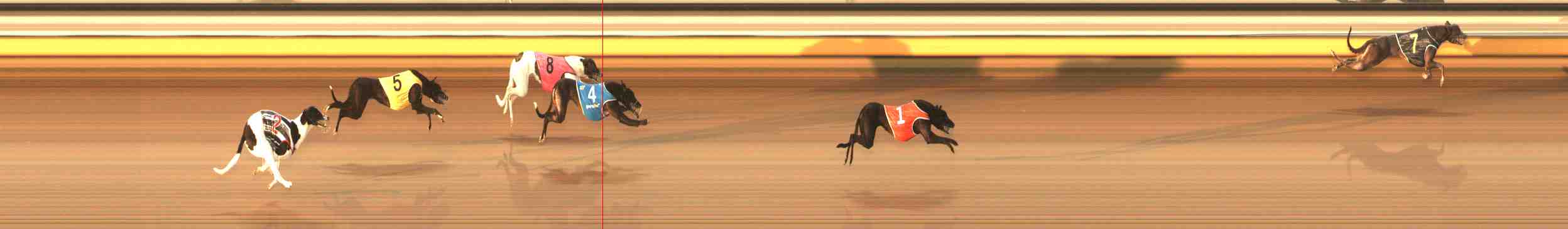 Photo finish for Warrnambool Race 1
