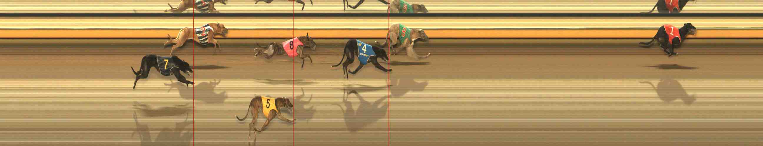 Photo finish for Warrnambool Race 3