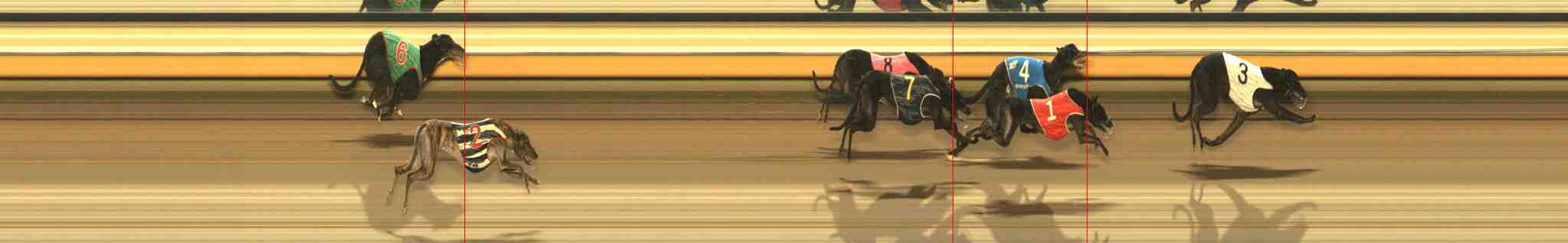 Photo finish for Warrnambool Race 4