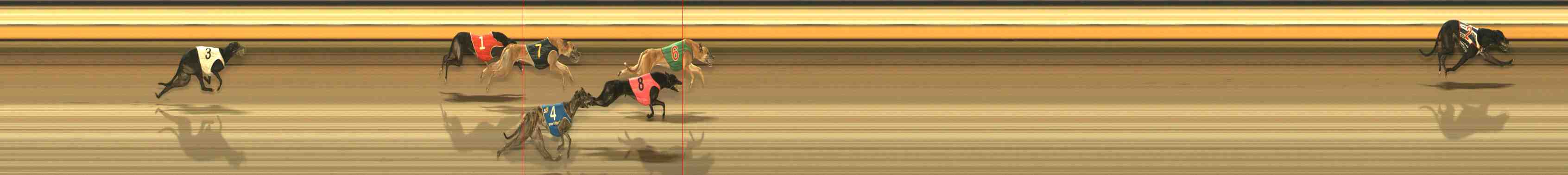Photo finish for Warrnambool Race 5