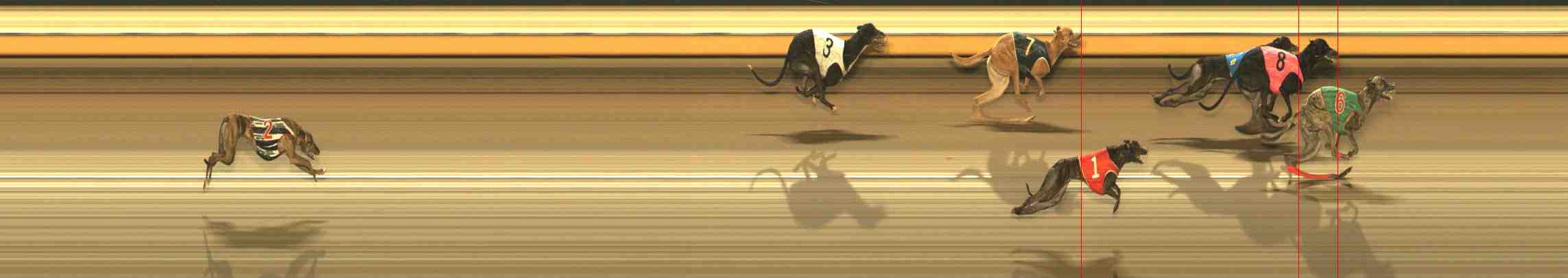 Photo finish for Warrnambool Race 6