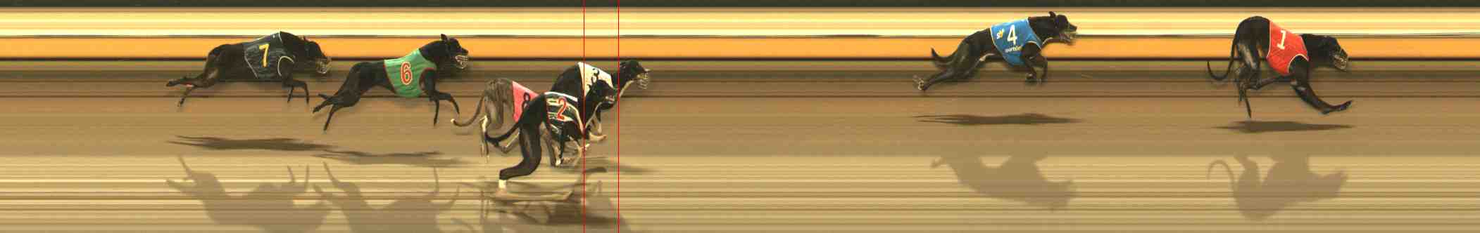 Photo finish for Warrnambool Race 7