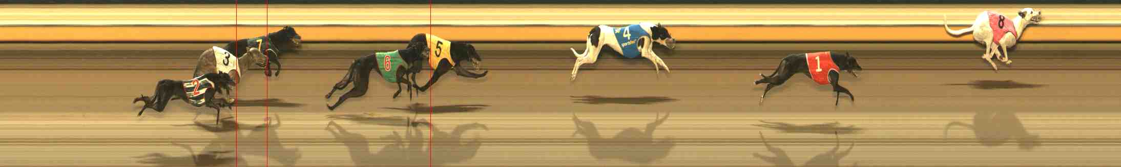 Photo finish for Warrnambool Race 8