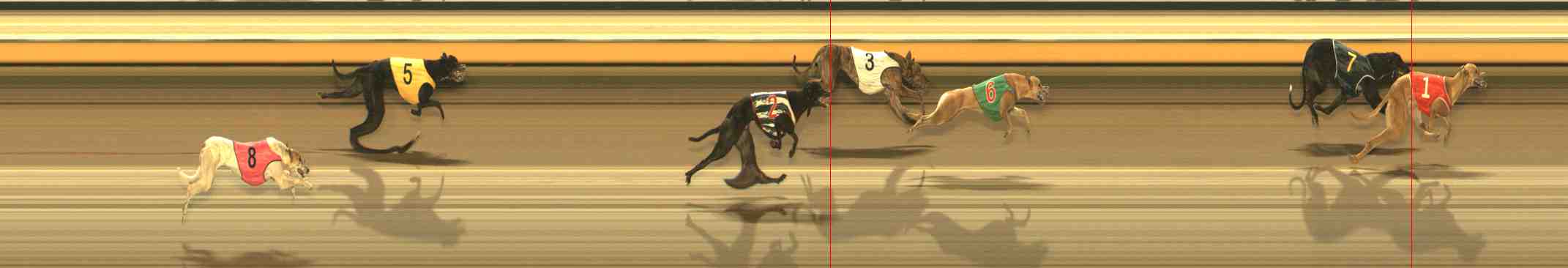Photo finish for Warrnambool Race 9
