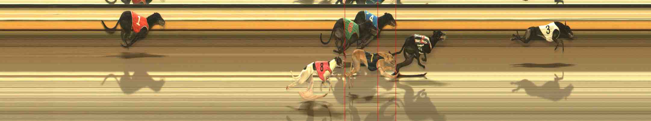 Photo finish for Warrnambool Race 10