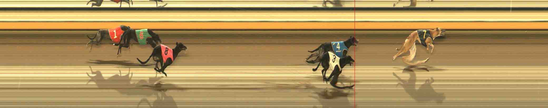 Photo finish for Warrnambool Race 11