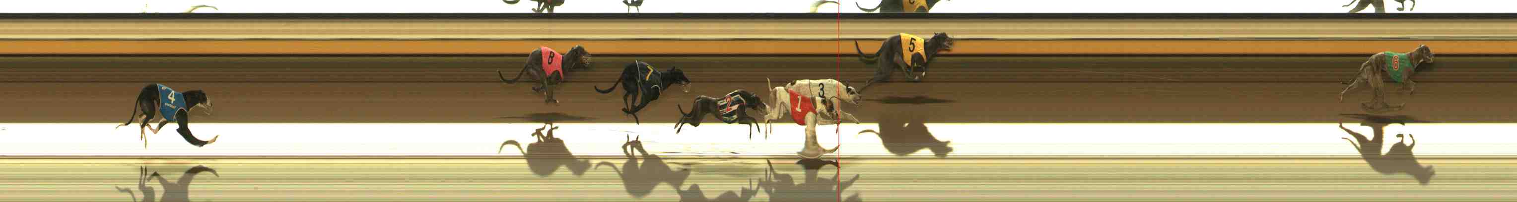 Photo finish for Warrnambool Race 12