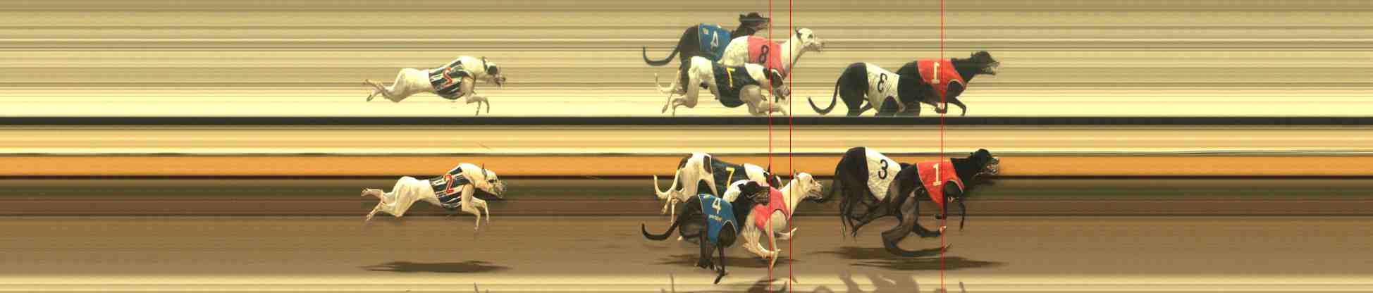 Photo finish for Warrnambool Race 13