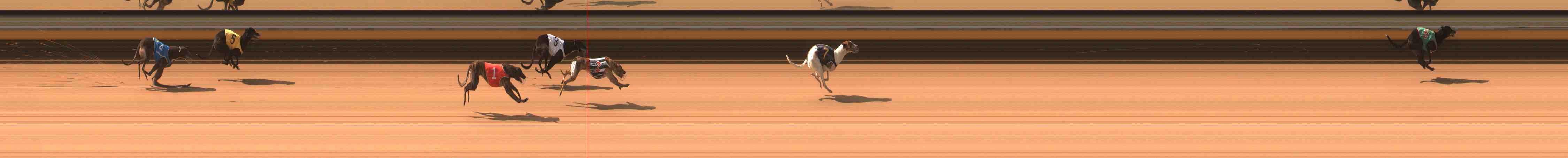Photo finish for Warrnambool Race 1