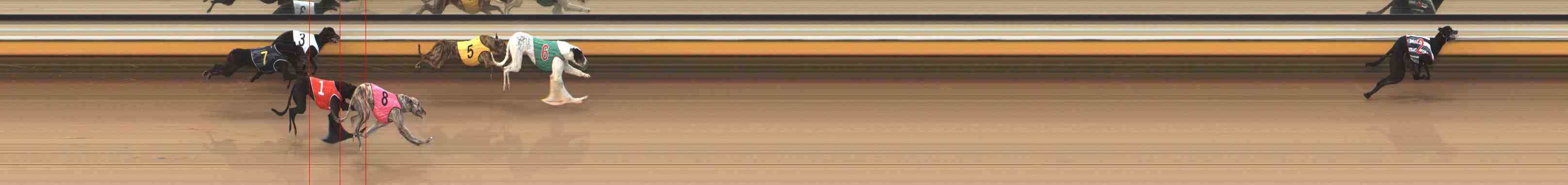 Photo finish for Warrnambool Race 2