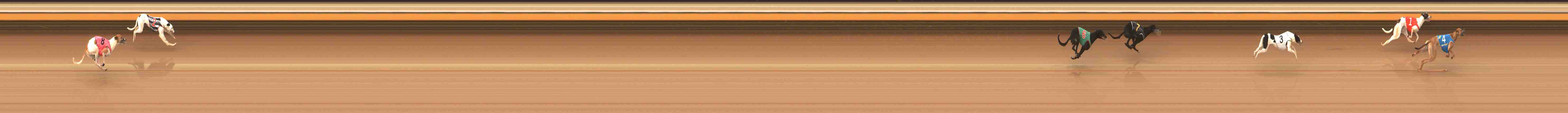 Photo finish for Warrnambool Race 4