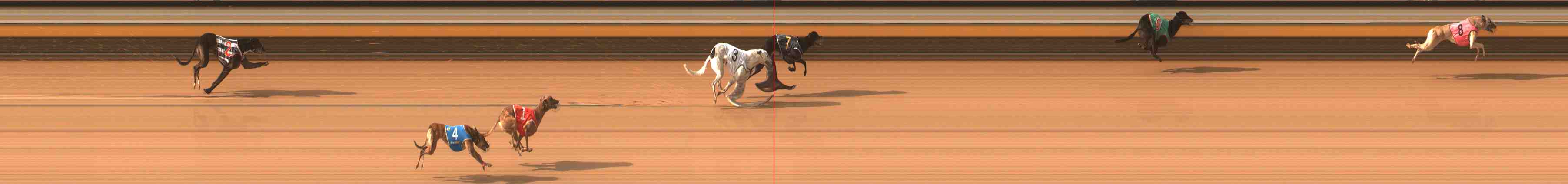 Photo finish for Warrnambool Race 5