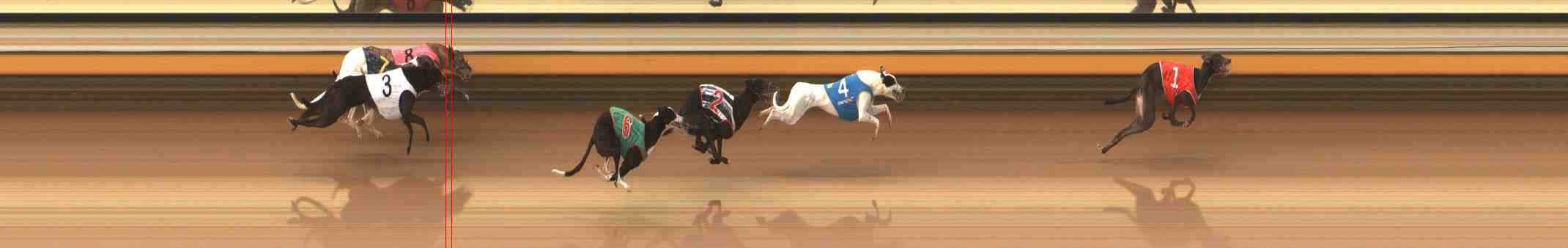 Photo finish for Warrnambool Race 7