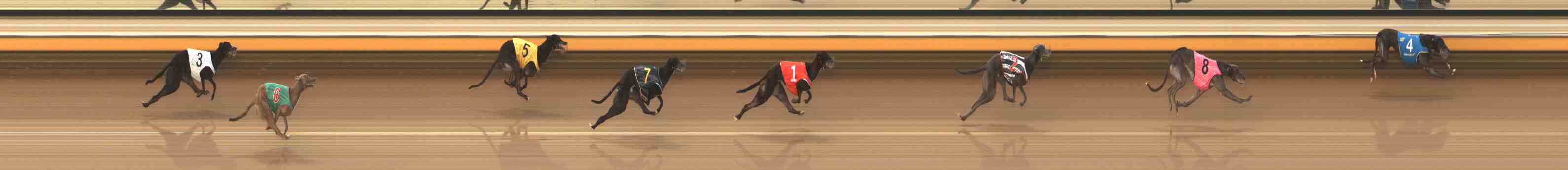 Photo finish for Warrnambool Race 8