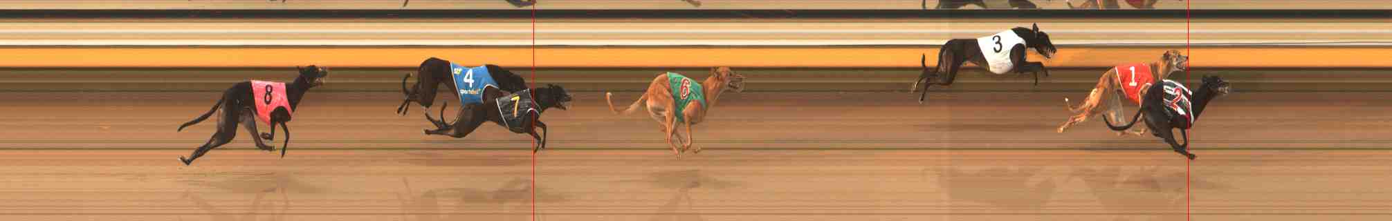 Photo finish for Warrnambool Race 9